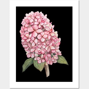 Watercolor Pink Hydrangea Posters and Art